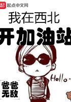 我在西北开加油站 我在西北开加油站
