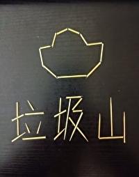 我家垃圾山上全是宝 我家垃圾山上全是宝