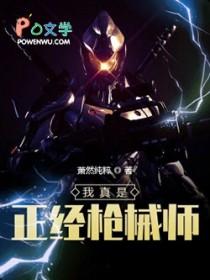 我真是正经枪械师 我真是正经枪械师